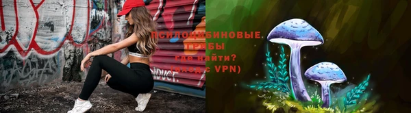 стаф Армянск