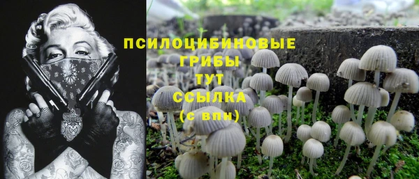 первитин Арсеньев